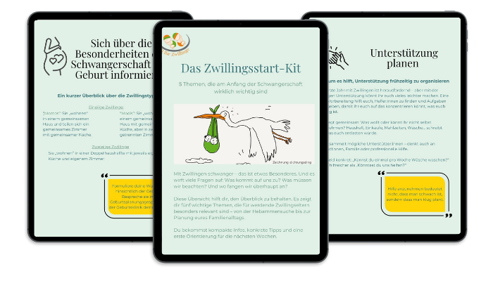 Freebie FFZ Mockup Katharina Launch VA
